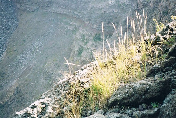 Auf dem Vesuv (Foto: privat)