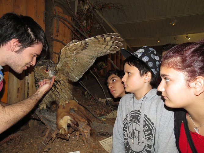Praktikum im Nationalpark Harz (Foto: Walter Wimmer) Praktikum im Nationalpark Harz (Foto: Walter Wimmer)