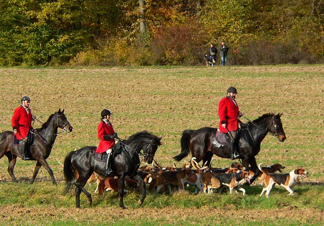 Hubertusjagd (Foto: privat)