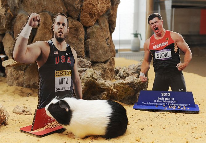 Die Entscheidung ist gefallen (Foto: W. Hasselbach) Die Entscheidung ist gefallen (Foto: W. Hasselbach)