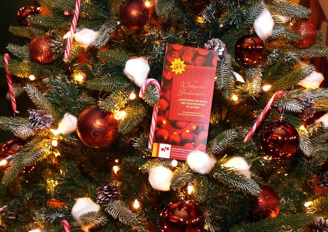 Kultur-Geschenk zu Weihnachten (Foto: B. Susemihl)