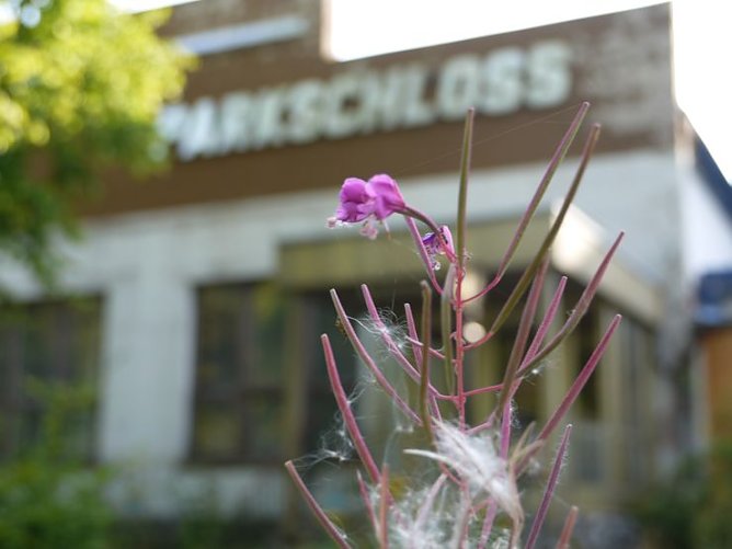 Hotel, Gaststätte oder Biotop? (Foto: nnz) Hotel, Gaststätte oder Biotop? (Foto: nnz)