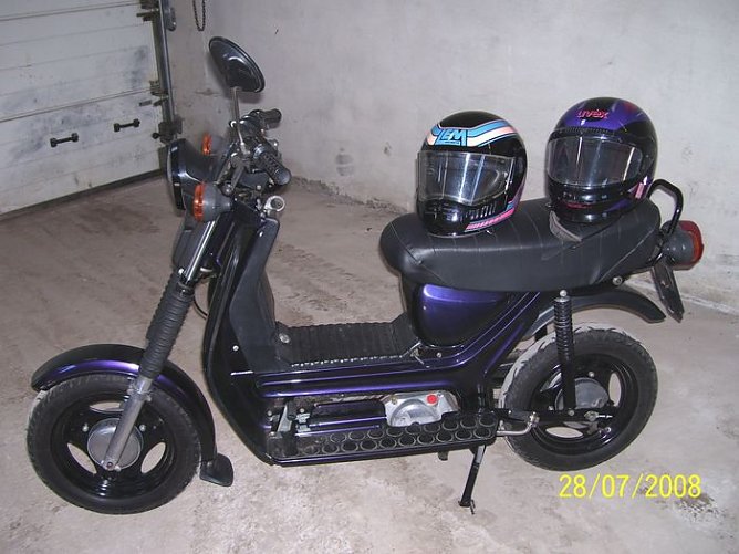 Besitzer gesucht (Foto: pol) Besitzer gesucht (Foto: pol)