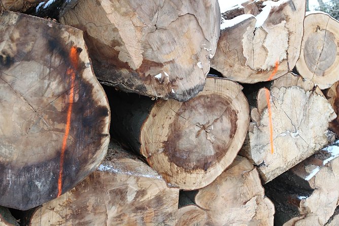 Verkaufswert? (Foto: nnz)