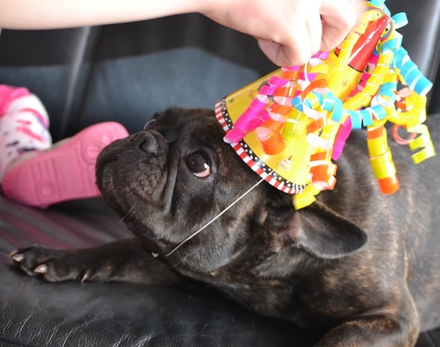 Auf zum Jubil&auml;um (Foto: S. Witzel)