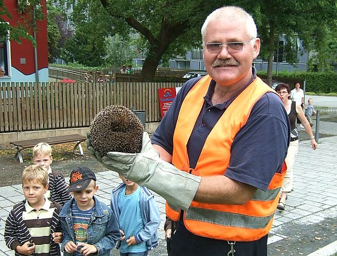 Igel gerettet (Foto: psv) Igel gerettet (Foto: psv)