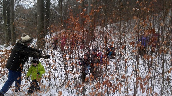 Unterwegs im Winterwald (Foto: privat) Unterwegs im Winterwald (Foto: privat)