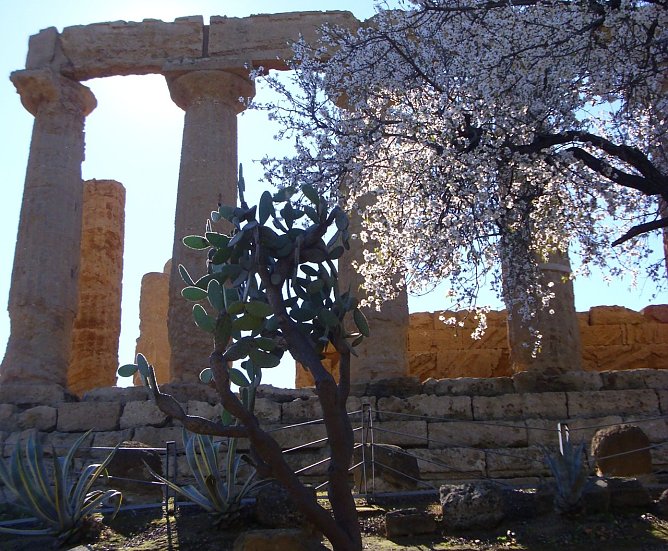 Sizilianisches Tagebuch (Foto: K. Greiner) Sizilianisches Tagebuch (Foto: K. Greiner)