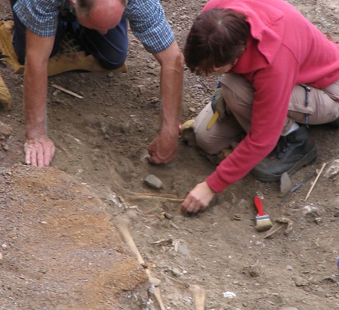 Knochenfunde (Foto: I. Bergmann) Knochenfunde (Foto: I. Bergmann)