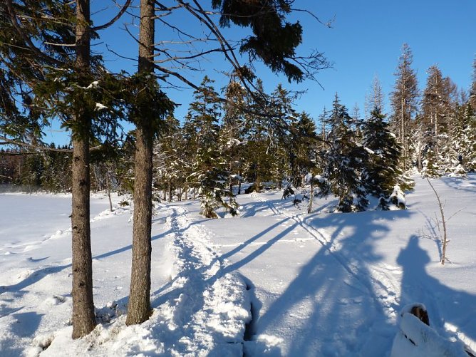 Illegale Spur (Foto: Anja Einhorn)