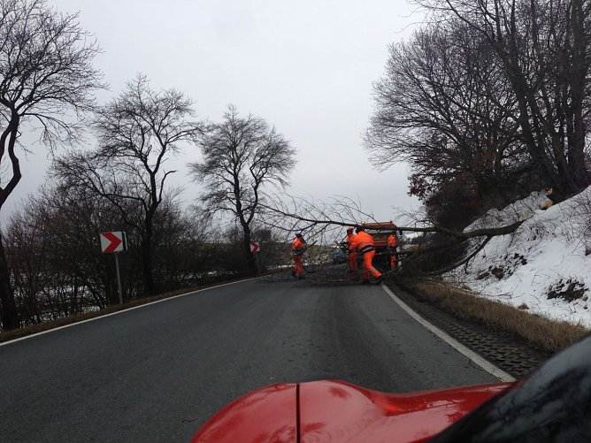 Gef&auml;hrlicher Schnitt (Foto: M. Hardrath)