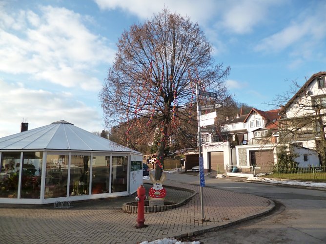 Eierbaum in Ilfeld (Foto: privat) Eierbaum in Ilfeld (Foto: privat)