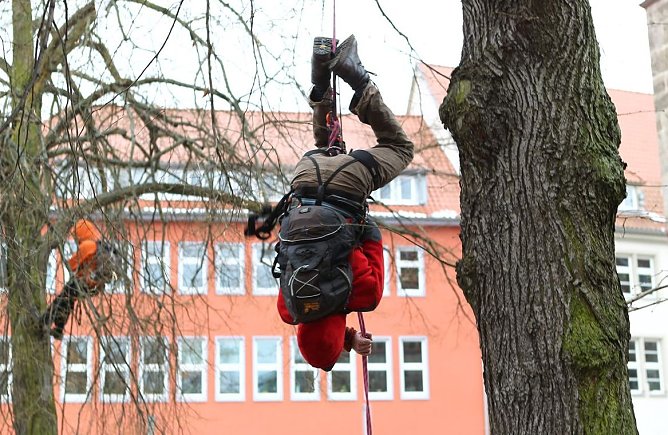 Abgeseilt (Foto: nnz)