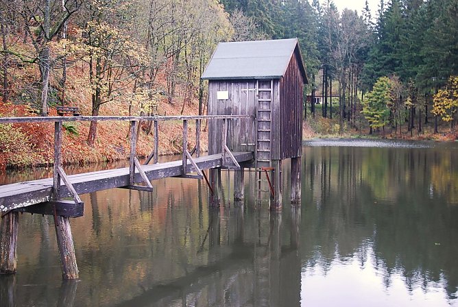 Striegelh&auml;uschen (Foto: privat)