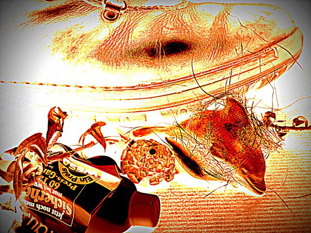 footprint (Foto: footprint)