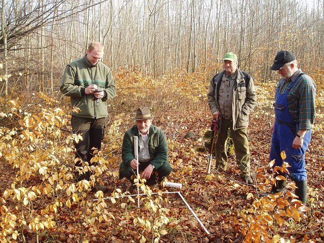 Verbissaufnahme (Foto: Forstamt Bleicherode-Südharz) Verbissaufnahme (Foto: Forstamt Bleicherode-Südharz)