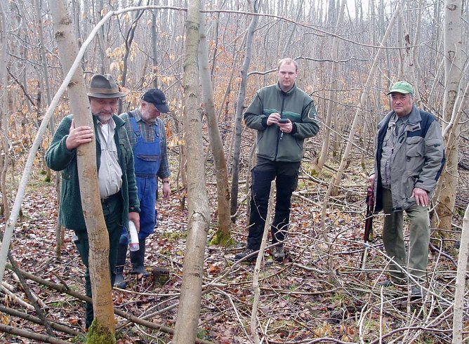 Aufnahme von Schälschäden (Foto: Forstamt Bleicherode-Südharz) Aufnahme von Schälschäden (Foto: Forstamt Bleicherode-Südharz)