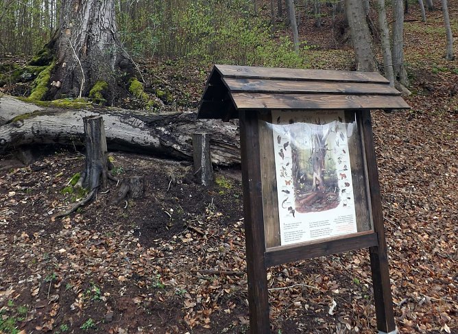 Infotafel gestaltet (Foto: I. Schoolmann) Infotafel gestaltet (Foto: I. Schoolmann)