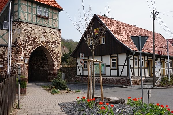 Aktion Blauer Adler (Foto: S. Witzel) Aktion Blauer Adler (Foto: S. Witzel)
