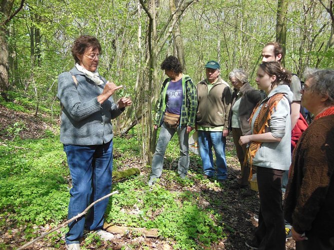 Wildkräuter erklärt (Foto: L. Schubert) Wildkräuter erklärt (Foto: L. Schubert)