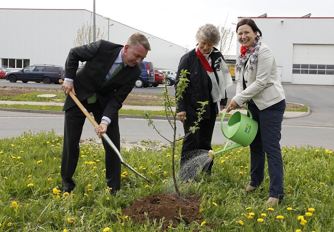 W&ouml;nnmann, Hartmann, Siegesmund (Foto: privat)
