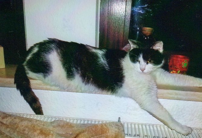 Paula wird vermisst (Foto: privat)