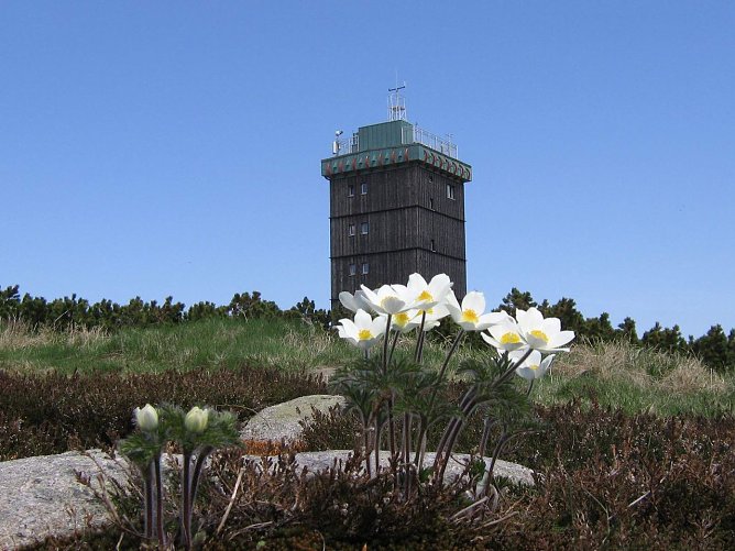 Einladung in den Brockengarten (Foto: Karste)