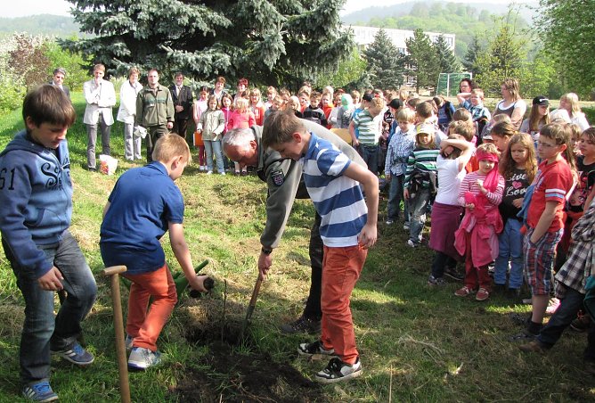 Baum des Jahres 2013 gepflanzt (Foto: privat) Baum des Jahres 2013 gepflanzt (Foto: privat)