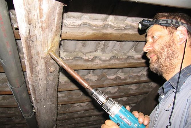 Kernbohrer (Foto: I. Bergmann)