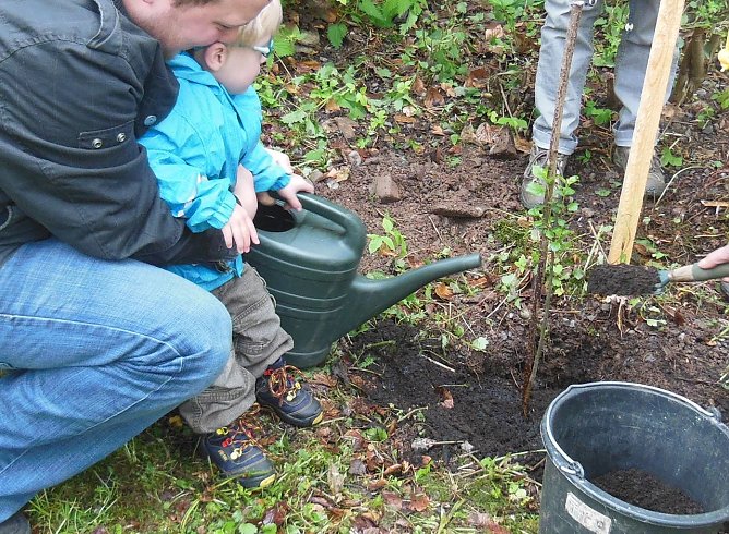 Wildapfel gepflanzt (Foto: L. Schubert) Wildapfel gepflanzt (Foto: L. Schubert)