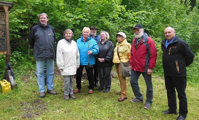 Wildapfel gepflanzt (Foto: L. Schubert) Wildapfel gepflanzt (Foto: L. Schubert)