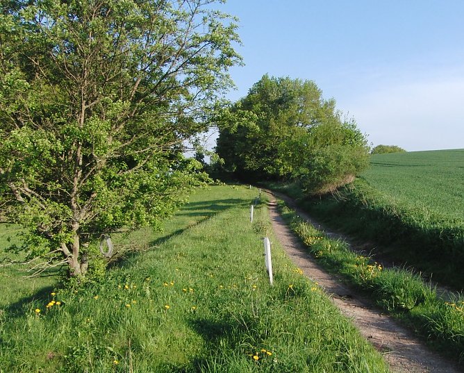 Kurz hinter Appenrode (Foto: B. Schwarzberg) Kurz hinter Appenrode (Foto: B. Schwarzberg)