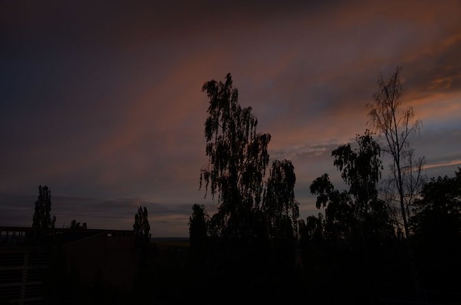 Foto &uuml;ber der Frauenbergschule (Foto: nnz-City Scout Sven G&auml;mkow)