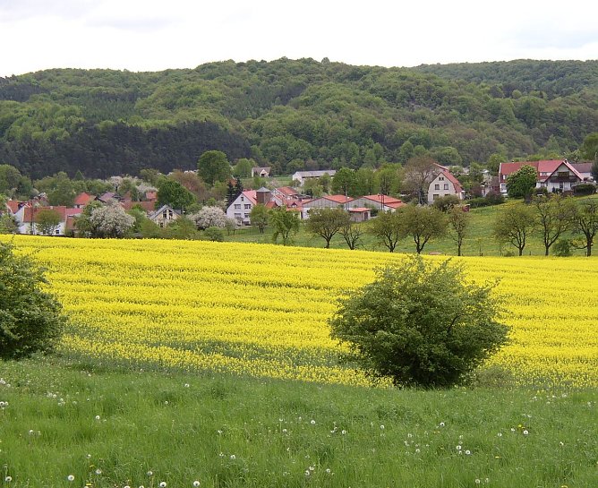 Blick auf Steigerthal (Foto: I. Bergmann|Stadtverwaltung Nordhausen)