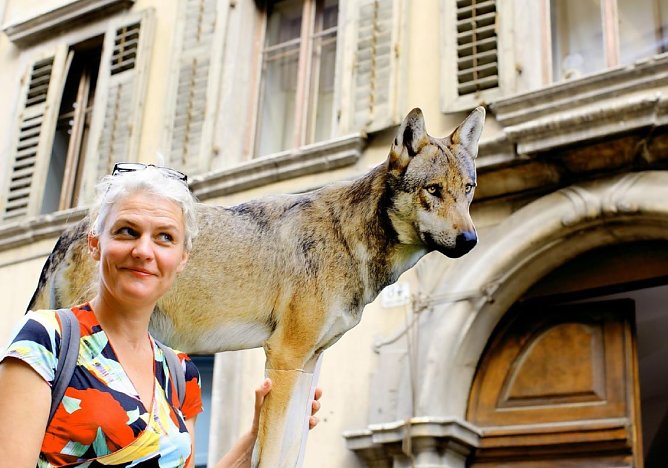 Keine Angst vor dem Wolf (Foto: privat)