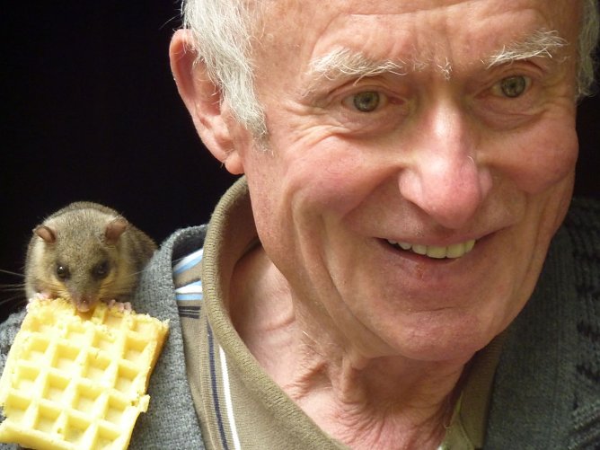 Siebenschl&auml;fer (Foto: privat)