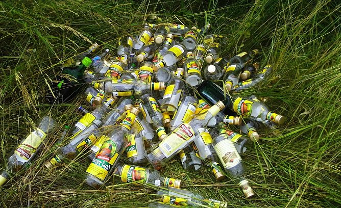 Nicht alltäglicher Müll (Foto: privat) Nicht alltäglicher Müll (Foto: privat)