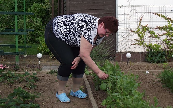 Der Kleingarten als Paradies (Foto: Kurt Frank) Der Kleingarten als Paradies (Foto: Kurt Frank)