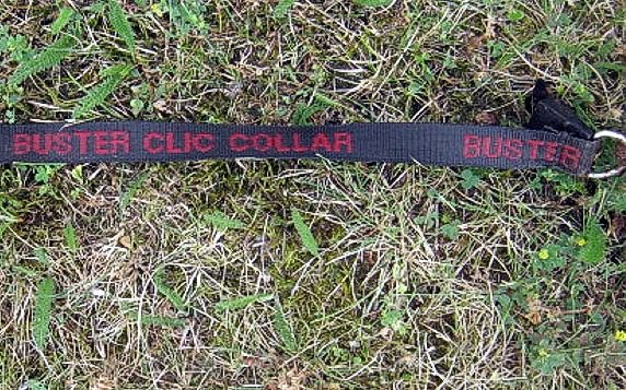 Gefundenes Halsband (Foto: Polizei) Gefundenes Halsband (Foto: Polizei)