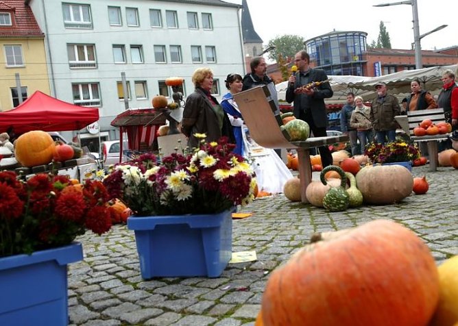 Zwiebelmarkt in Nordhausen (Foto: nnz)