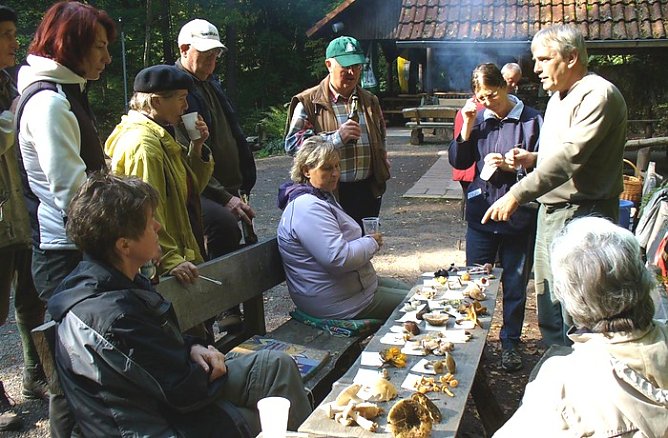 In den Pilzen (Foto: Urban) In den Pilzen (Foto: Urban)