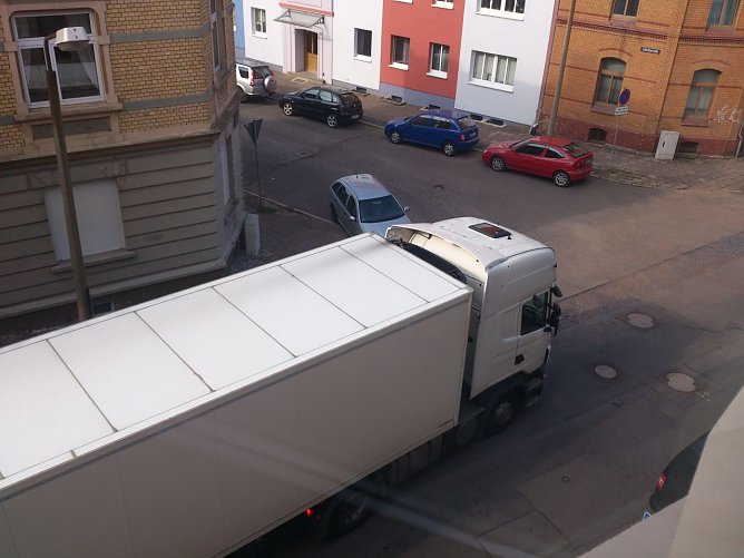 Verirrt (Foto: privat) Verirrt (Foto: privat)