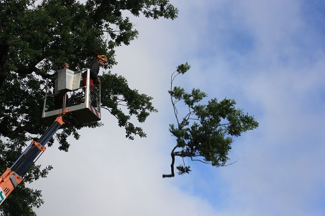 Sch&ouml;nheitskur (Foto: I. Bergmann|Stadtverwaltung Nordhausen)
