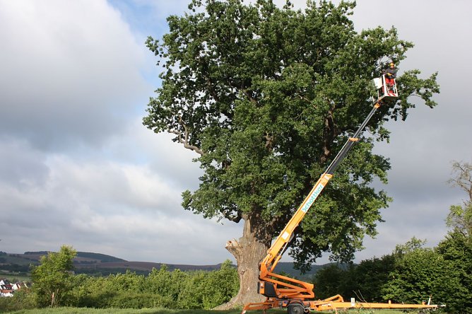 Sch&ouml;nheitskur (Foto: I. Bergmann|Stadtverwaltung Nordhausen)