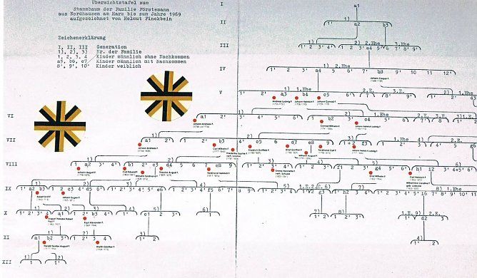 Ahnentafel F&ouml;rstemann in der Ausstellung (Foto: Archiv Kneffel)