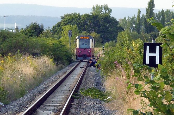 Unfall auf HSB-Gleisen (Foto: nnz)