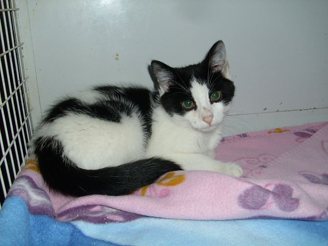 Mirella (Foto: C. Knust)