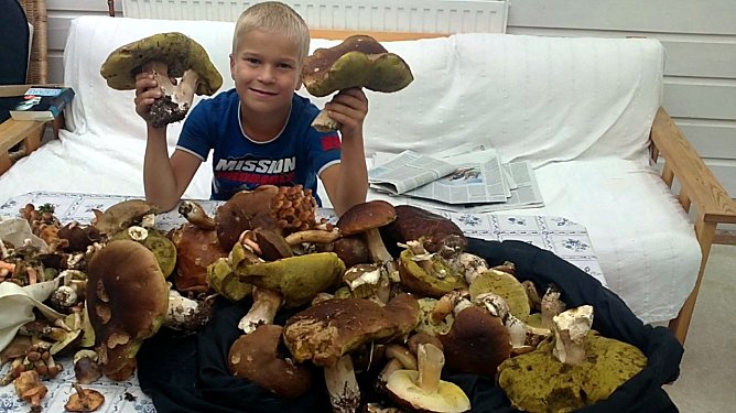 Jede Menge Pilze (Foto: privat)