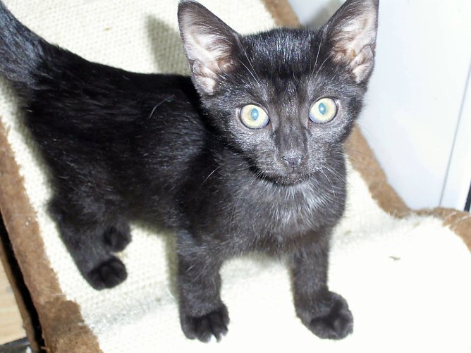 Hilla (Foto: C. Knust)