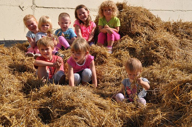 Stroh besorgt (Foto: privat)